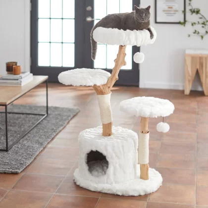 Frisco Natural Wood Modern Cat Tree with Toy, Ivory, Large