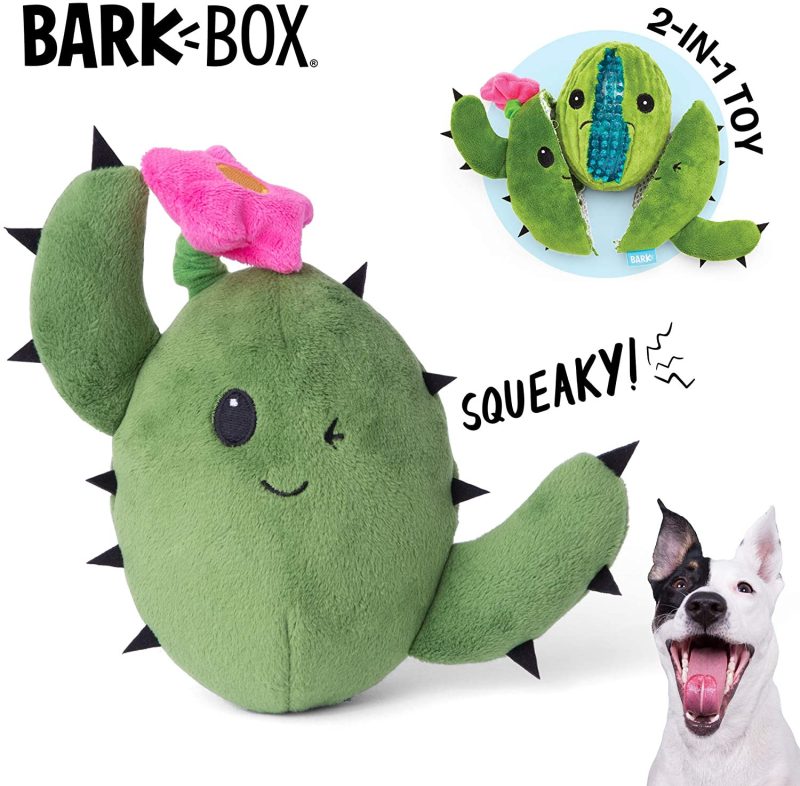 BarkBox Dog Squeak Toys, 2 In 1 Interactive Toys For Chewers