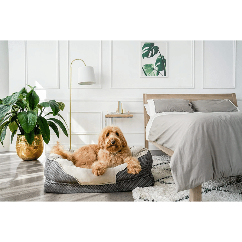 BarksBar Orthopedic Dog Bed, 40 X 30 Inches, Snuggly Sleeper, Grey, Large (Pack Of 1)