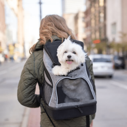 Bergan Heather Grey Backpack Pet Carrier, Medium