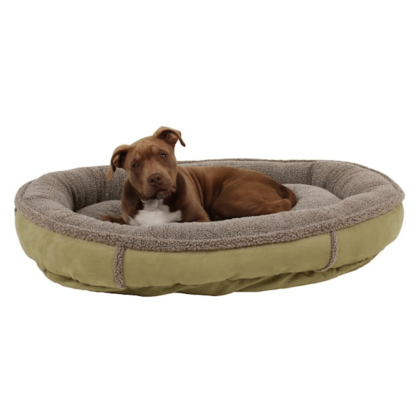 Carolina Pet Faux Suede & Sherpa Comfy Cup in Sage, Large