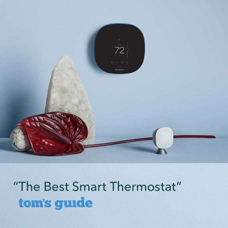 Ecobee SmartThermostat With Voice Control