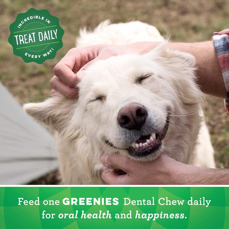 Greenies Original Petite Natural Dental Dog Treats, 15 - 25 Pounds Dogs