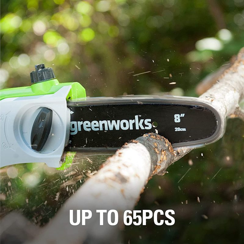 Greenworks 20672 40V 8-Inch Cordless Pole Saw, 2Ah Battery and Charger Included
