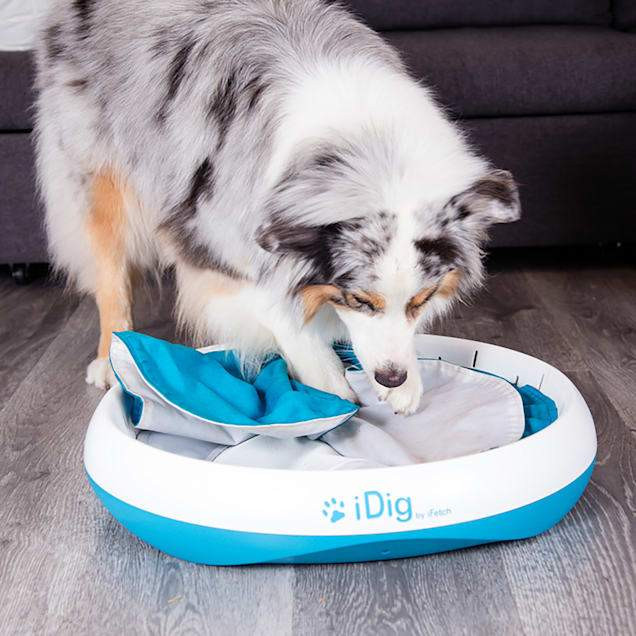 iFetch iDig Stay Digging Dog Toys, Medium