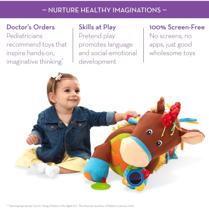 Melissa & Doug Giddy-Up and Play Baby Activity Toy, Multi-Sensory Horse