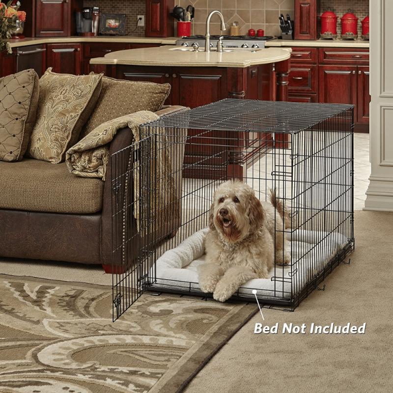 Midwest iCrate Single Door Folding Dog Crate, 48-Inch
