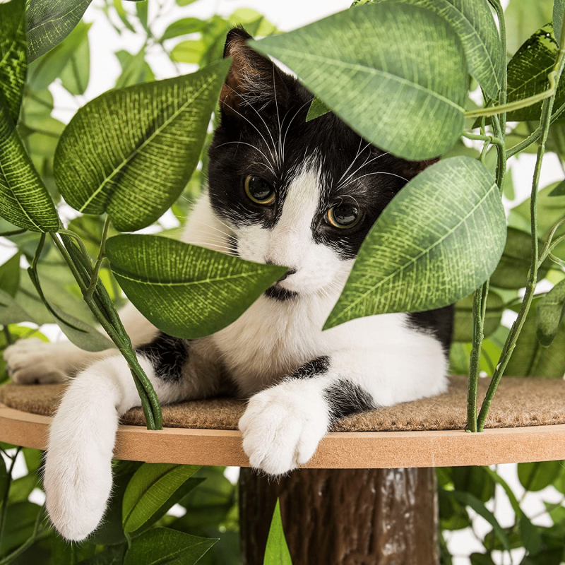 On2 Pets Cat Tree With Leaves Made In USA