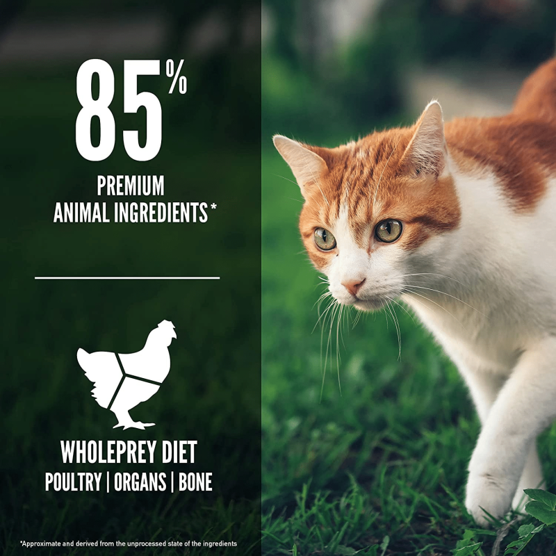 Orijen Grain Free Fit & Trim Support Healthy Weight Fresh & Raw Animal Ingredients Dry Cat Food, 12 lbs