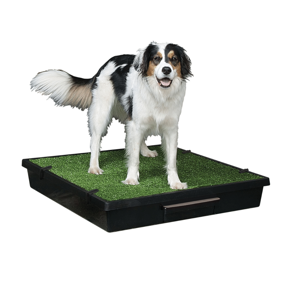 Pet Loo Indoor Yard Training System For Dogs, Large