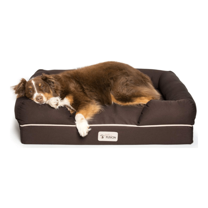 PetFusion Ultimate Orthopedic Dog Bed 36x28 Inch (Pack of 1), Chocolate Brown