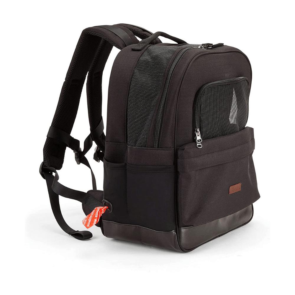 Reddy Black Cotton Canvas Pet Carrier Backpack Made With Recycled Materials, Small