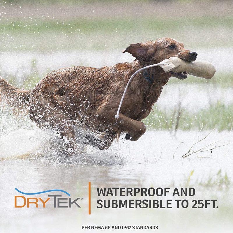 SportDog Brand SportTrainer Remote Trainer, 880 Yards Range, Waterproof