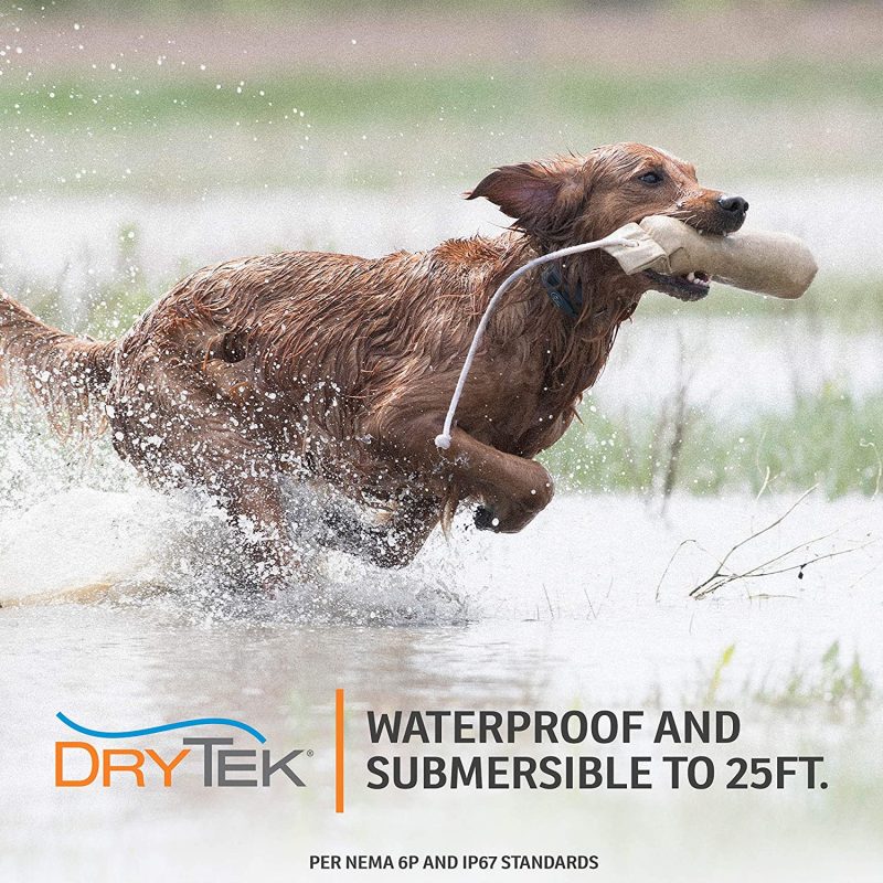 SportDog Brand YardTrainer 300 Waterproof Dog Training Collars With Static