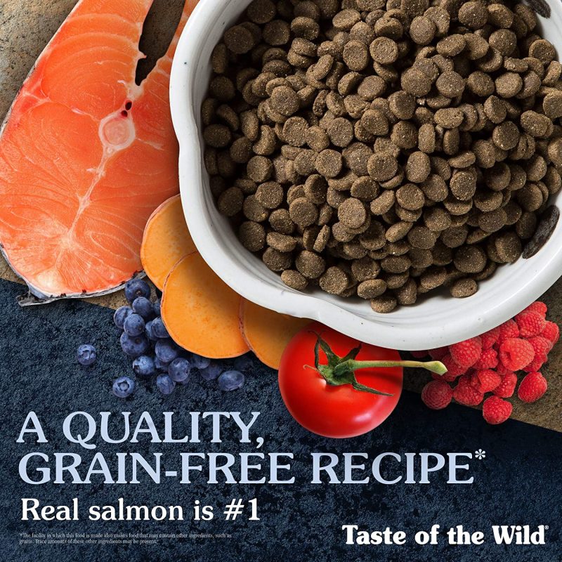 Taste of The Wild Pacific Stream Canine Grain-Free Recipe with Smoked Salmon Adult Dry Dog Food