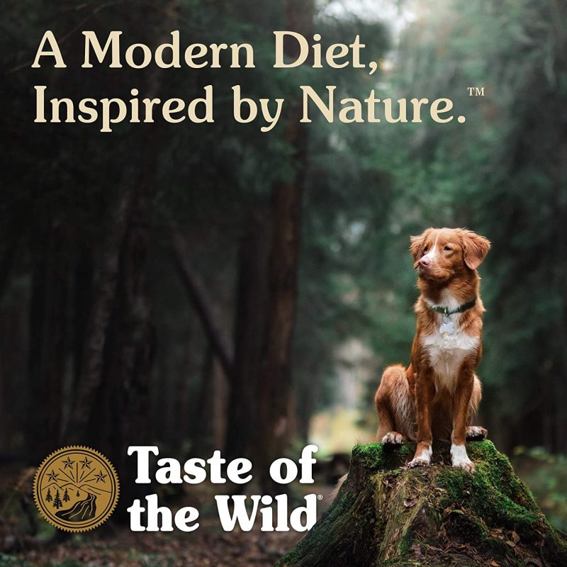 Taste of The Wild Pacific Stream Canine Grain-Free Recipe with Smoked Salmon Adult Dry Dog Food