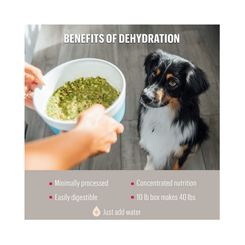 The Honest Kitchen Dehydrated Grain Free Limited Ingredient Dog Food