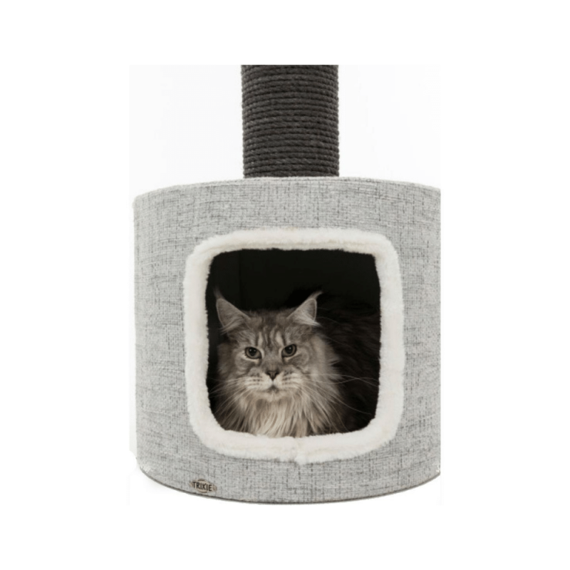 Trixie Fonda Scratching Post Condo for Cats, 39-Inch Height