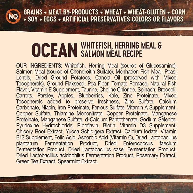Wellness Core Natural Grain Free Ocean Whitefish, Herring & Salmon Dry Dog Food, 22 Pounds