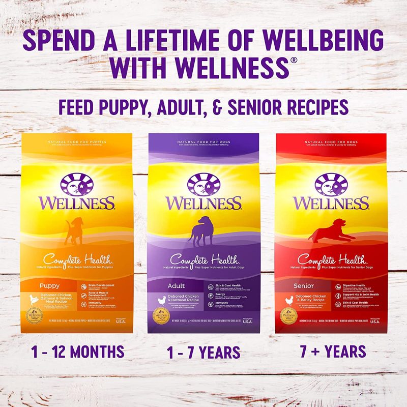 Wellness Natural Pet Food Complete Health Grain Free Dry Dog Food, Chicken Flavor, 24 Pounds