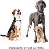 Whistle GO Explore - The Ultimate Health & Location Tracker For Pets