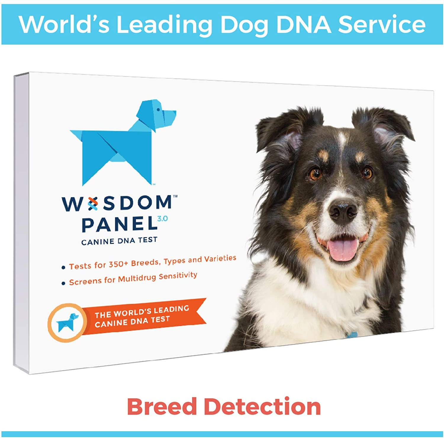 Wisdom Panel 3.0 Canine DNA Test, Dog DNA Test Kit For Breed And Ancestry Information