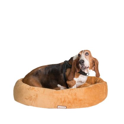 Armarkat Bolstered Pet Bed and Mat, Ultra-Soft Dog Bed, Brown, Medium