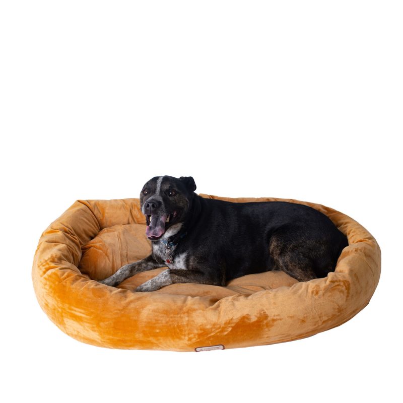 Armarkat Bolstered Pet Bed and Mat Ultra-Soft Dog Bed, Brown, Large