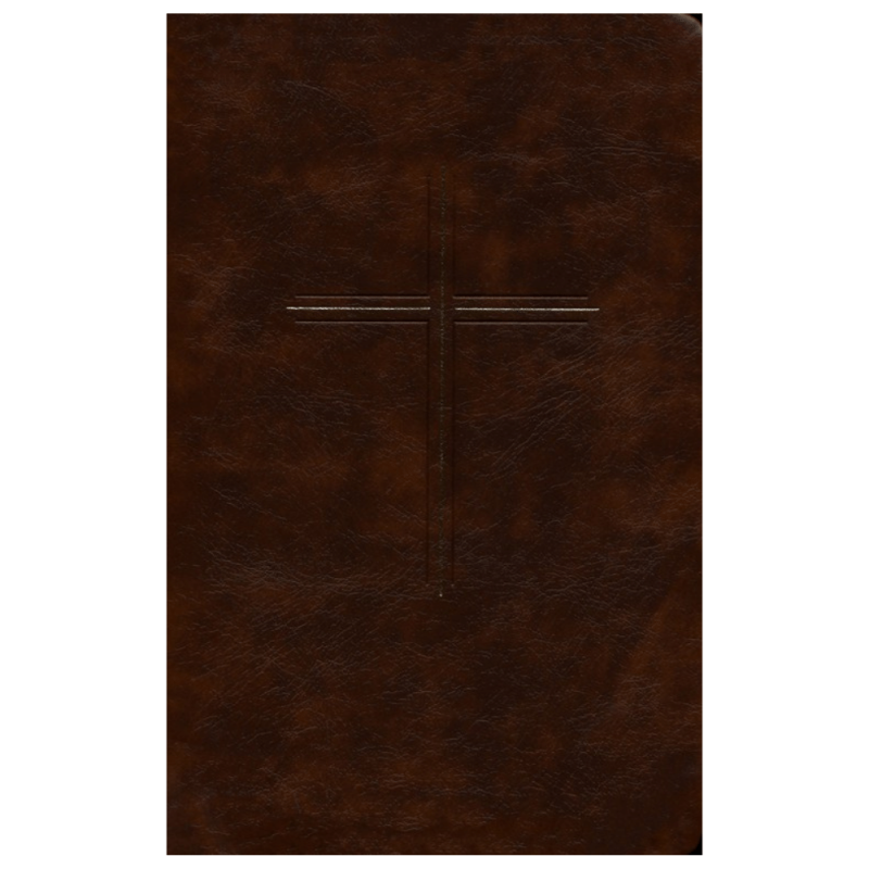 The Message Devotional Bible LeatherLike, Brown