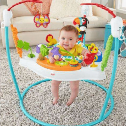 Fisher-Price Animal Activity Jumperoo with Music, Lights & Sounds