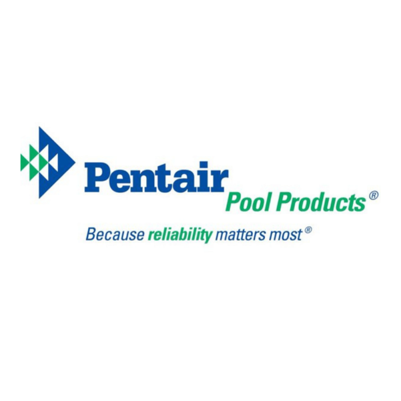 Pentair 263042 Swimming Pool Pump 2-Way CPVC Check Valve, Straight 2.5" Slip