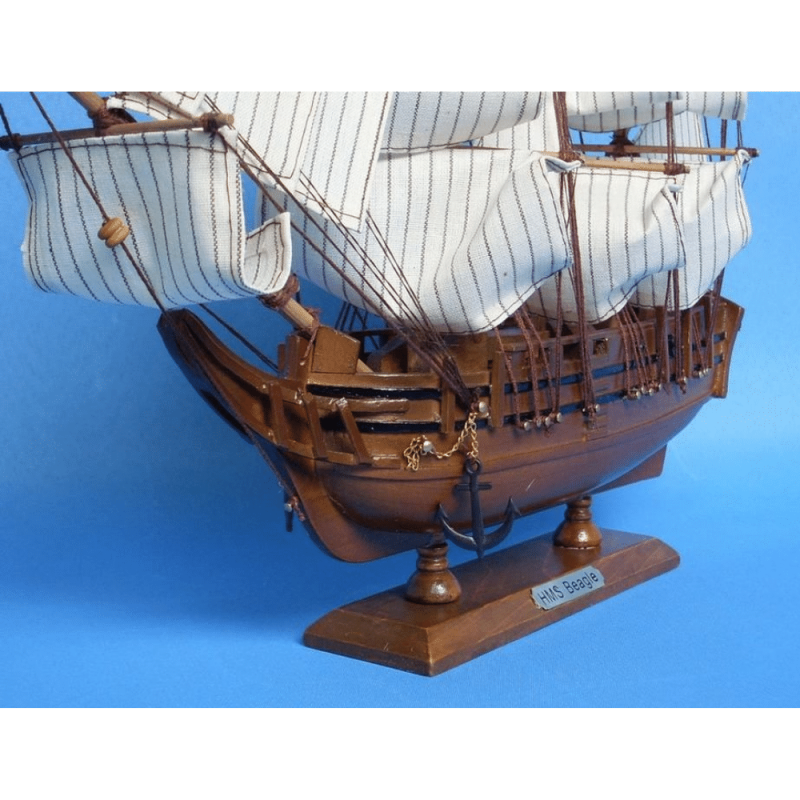 Handcrafted Model Ships Wooden Charles Darwin's HMS Beagle Model Ship 14"