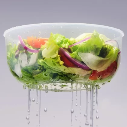 Lock & Lock Easy Essentials Specialty Salad Bowl with Colander Insert, 16.9C