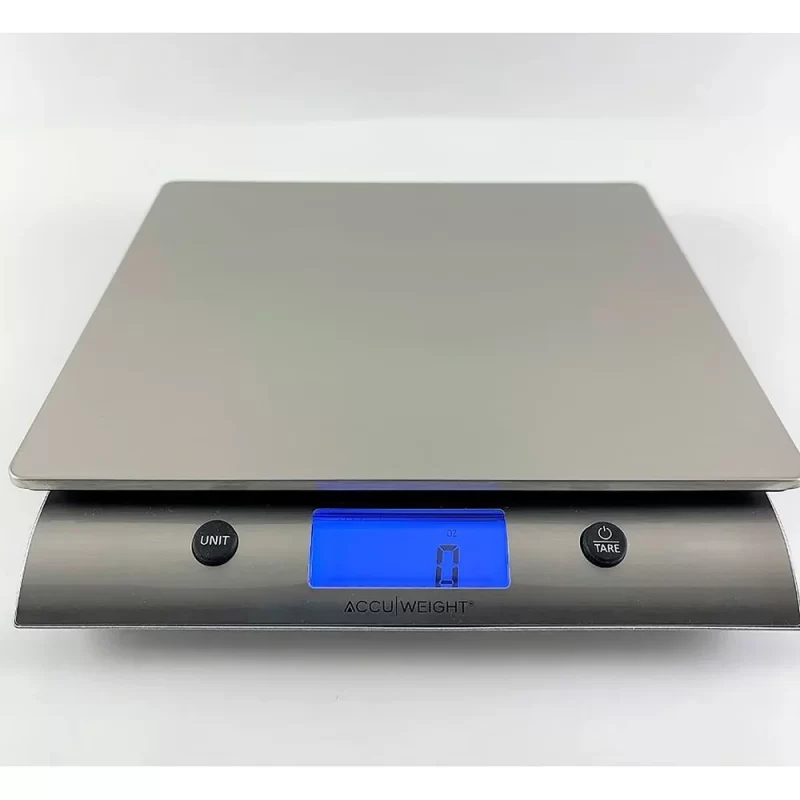 AccuWeight Platinum Series,10 kg Digital Stainless Steel Kitchen Scale