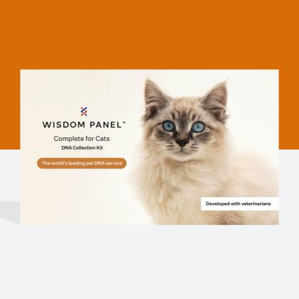 Wisdom Panel Complete Cat DNA Test