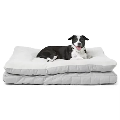 EveryYay Snooze Fest Herringbone Gusseted Orthopedic Dog Bed, 36" L X 48" W