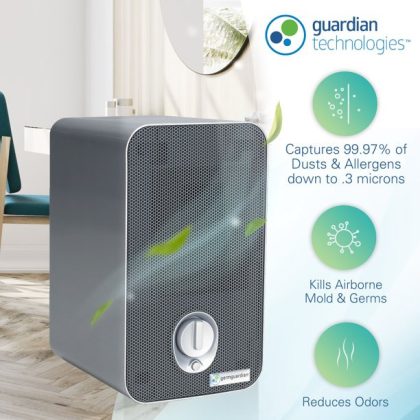 GermGuardian Air Purifier with True HEPA Filter 11-Inch, AC4100