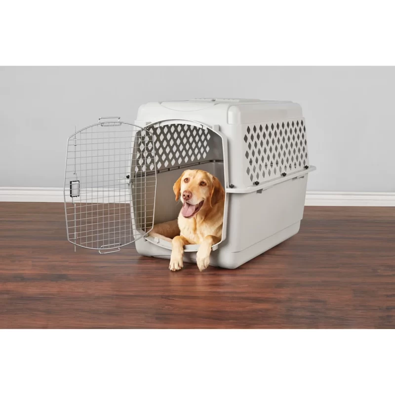 EveryYay Going Places Pet Kennel