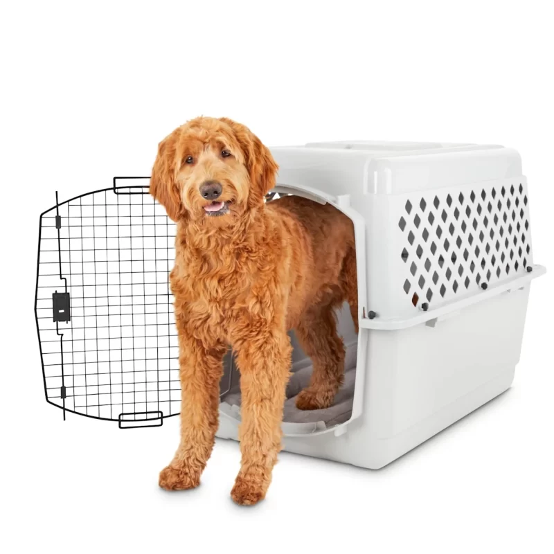 EveryYay Going Places Pet Kennel