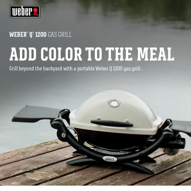 Weber Q 1200 1-Burner Portable Tabletop Propane Gas Grill in Titanium with Built-In Thermometer