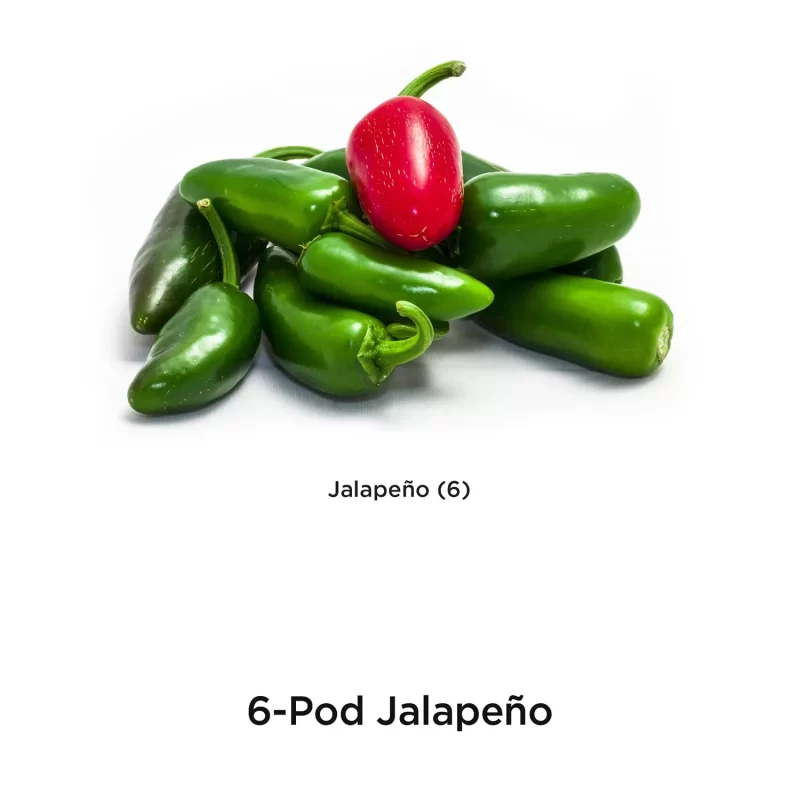 AeroGarden Tomato And Jalapeño Seed Pod Kit, 12-Pod Dual Kit