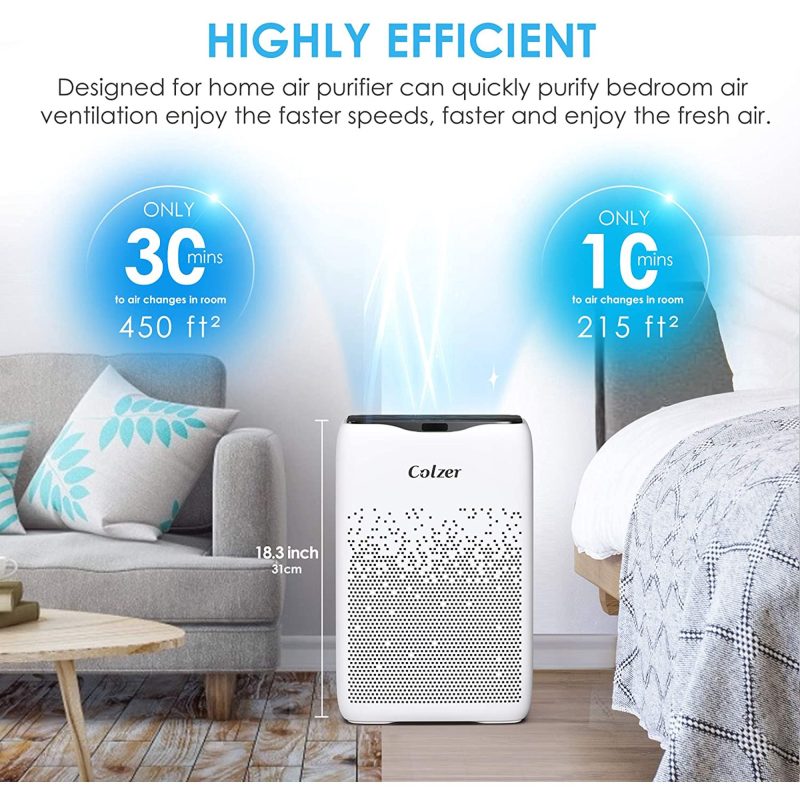 Colzer ERI-186 Air Purifier with True HEPA Air Filter, or Spaces Up to 450 Sq.Ft. with Filter (EPI-186)