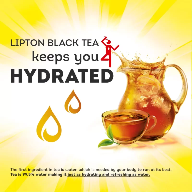 [SET OF 3] - Lipton Iced Tea, Gallon Size Tea Bags (48 ct./pk.),