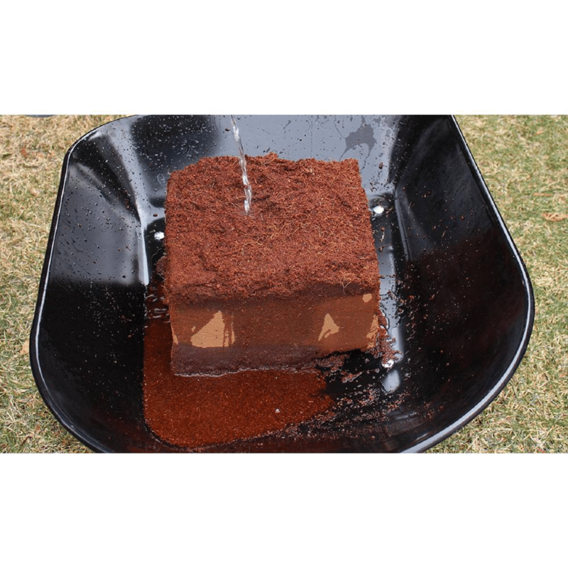 Envelor 10 lbs. Organic Coco Block Coir Brick Potting Soil (4-Pack)