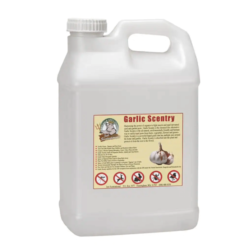 Just Scentsational 2.5 Gal. Garlic Scentry Concentrate