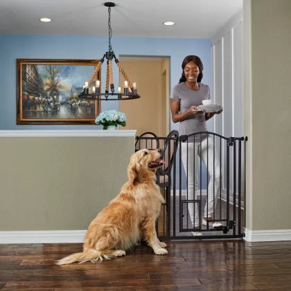 EveryYay In The Zone Extra-Tall Arched Walk-Through Pet Gate, 29-43.5" W X 38.5" H
