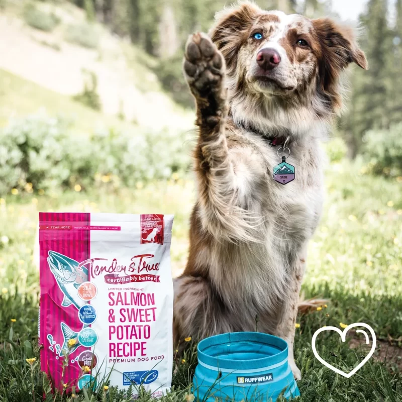 [SET OF 2] - Tender & True Pet Nutrition Wild-Caught Salmon & Sweet Potato Recipe Dry Dog Food, 23 lbs.