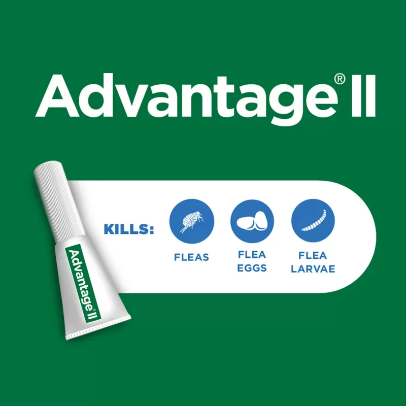[SET OF 2] - Advantage II Bayer Once-A-Month Cat & Kitten Topical Flea Treatment Over 9 lbs., Pack of 6