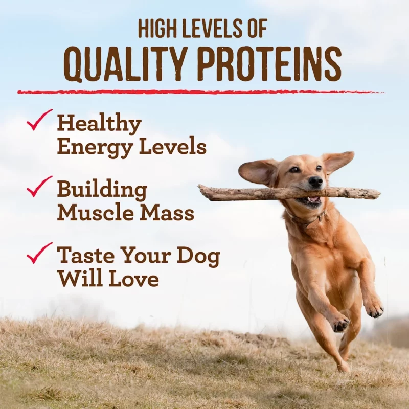 [SET OF 2] - Merrick Grain Free Healthy Weight Recipe Dry Dog Food, 22 lbs.