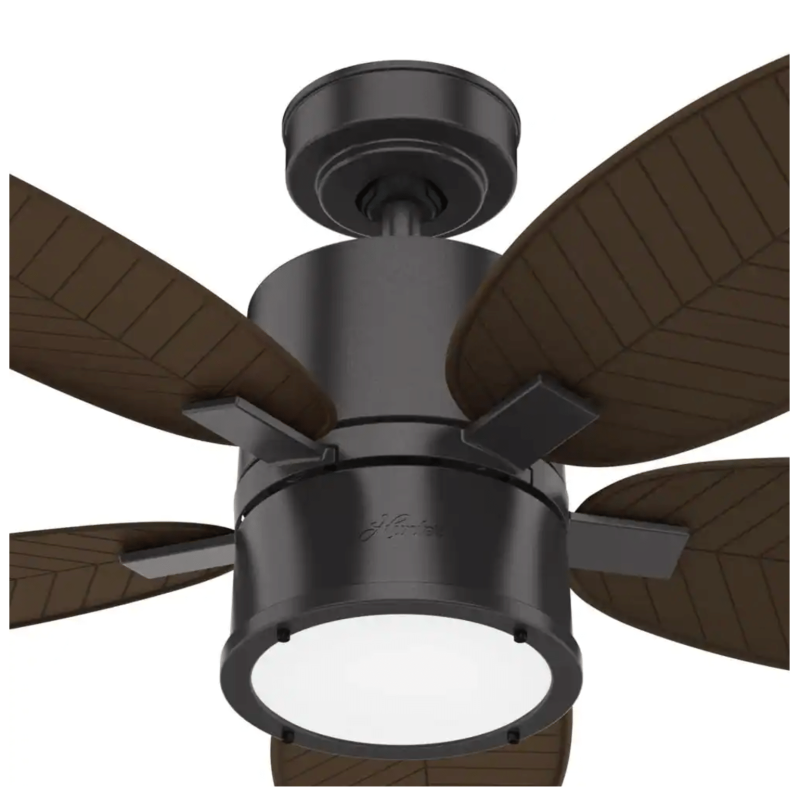 Hunter Amaryllis 52 in. Indoor/Outdoor Noble Bronze Ceiling Fan with Light Kit and Remote (51191)